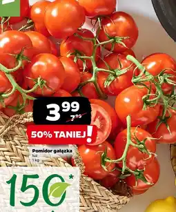 Netto Pomidor gałązka luz Netto oferta