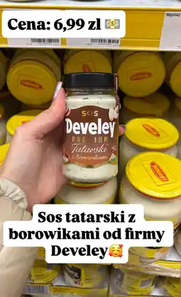 Dino Sos tatarski z borówkami Develey Premium oferta