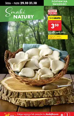 Biedronka Boczniaki 250 g 1+1 GRATIS Biedronka oferta