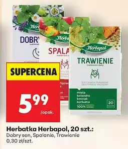 Biedronka Herbatka 20 szt. Dobry sen Herbapol oferta