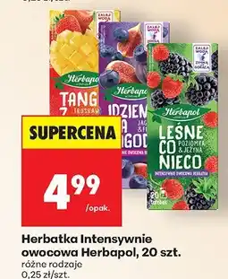 Biedronka Herbatka Intensywnie owocowa 20 szt. różne rodzaje Herbapol oferta
