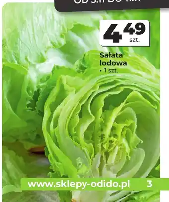 Odido Sałata lodowa oferta