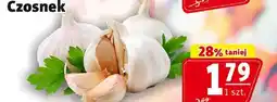 Prim Market Czosnek Prim Market oferta