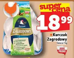 Topaz Kurczak Zagrodowy Kuroń oferta