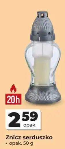 Odido Znicz serduszko oferta