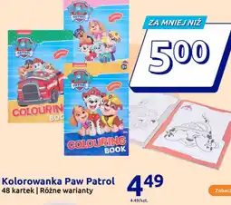 Action Kolorowanka Paw Patrol oferta