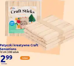 Action Patyczki kreatywne Craft Sensations oferta