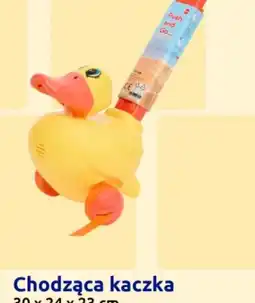 Action Chodząca kaczka oferta