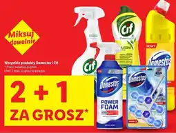 Lidl Kostka do wc ocean Domestos Power5 oferta