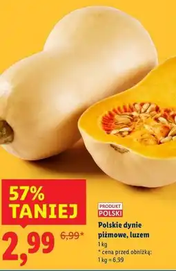 Lidl Dynia piżmowa polska oferta