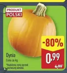 ALDI Dynia oferta