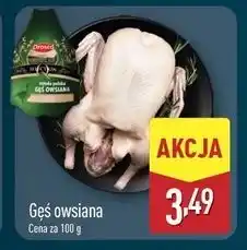 ALDI Gęś owsiana Drosed oferta