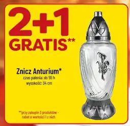 Polomarket Znicz Anturium oferta