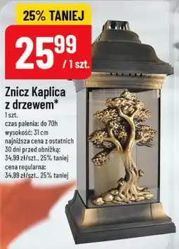 Polomarket Znicz Kaplica z drzewem oferta