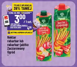 Polomarket Nektar rabarbar lub rabarbar-jabłko Zaczarowany Ogród oferta