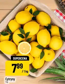 Polomarket Cytryny oferta