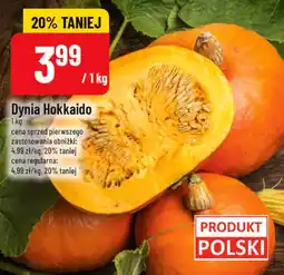 Polomarket Dynia Hokkaido oferta