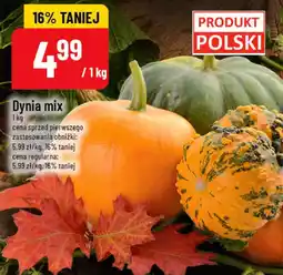 Polomarket Dynia mix oferta