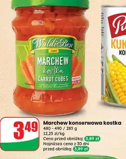 Dino Marchew kostka Waldiben oferta
