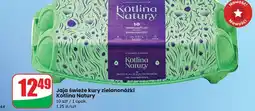 Dino Jaja od kury zielononóżki Kotlina Natury oferta