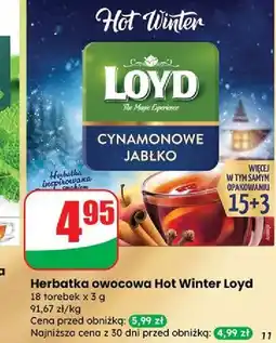 Dino Herbata cynamonowo-jabłkowa Loyd Tea The Magic Experience oferta