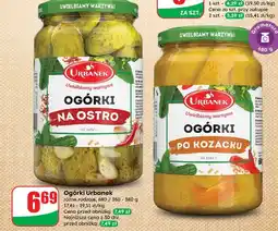 Dino Ogorki kozackie Urbanek oferta