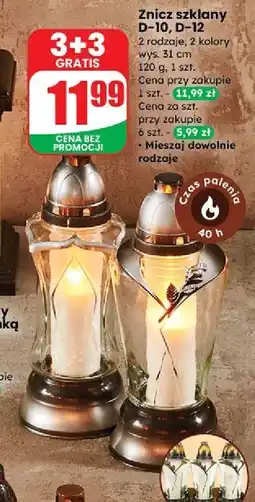 Dino Znicz d-12 oferta
