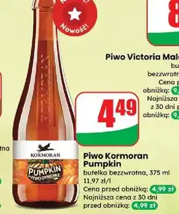 Dino Piwo Kormor Pumpkin oferta