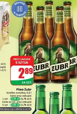 Dino Piwo Żubr 1768 oferta