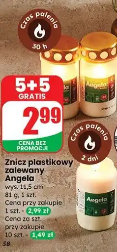 Dino Znicz plastikowy 2 dni Angela oferta