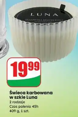 Dino Świeca karbowana w szkle 45h Luna oferta
