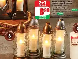 Dino Znicz s-899 oferta