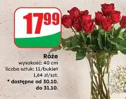 Dino Róże 40 cm oferta