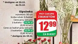 Dino Gipsówka biała 50 cm oferta