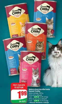 Dino Karma dla kota z wołowiną Sweet Catty oferta
