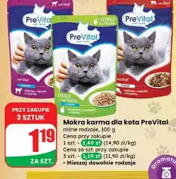 Dino Karma dla kota indyk Prevital oferta