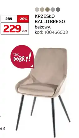 Komfort Krzesło Taks oferta