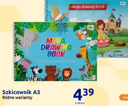 Action Szkicownik A3 oferta