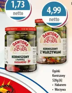 DUO-TES Ogórki Korniszony Dawtona oferta