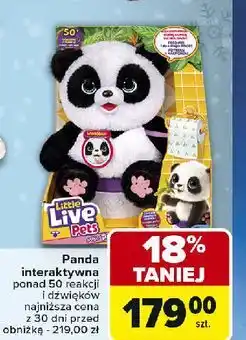 Carrefour Panda chu z nocnikiem Moose oferta