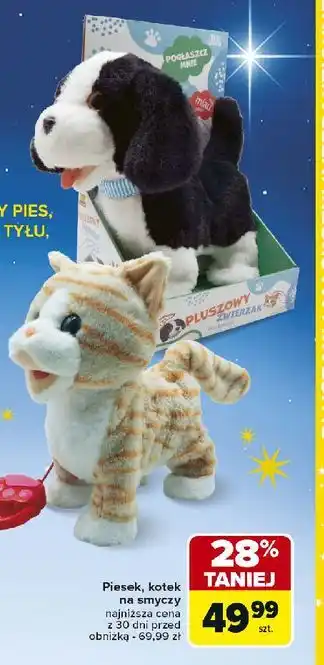 Carrefour Kotek na smyczy oferta