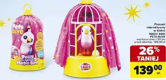 Carrefour Ptaszek interaktywny Little Live Pets oferta