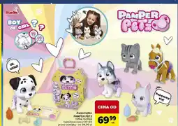 Carrefour Pamper petz kucyk Simba oferta