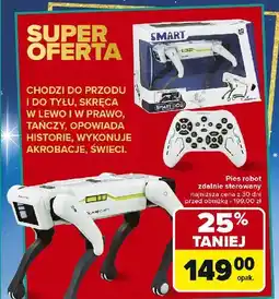 Carrefour Pies robot oferta