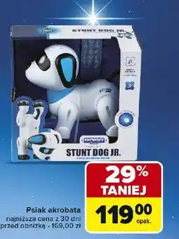 Carrefour Psiak akrobata oferta