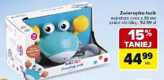 Carrefour Zwierzątko łazik oferta