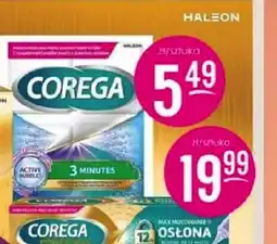 Jaśmin COREGA oferta