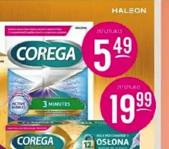 Jaśmin COREGA oferta