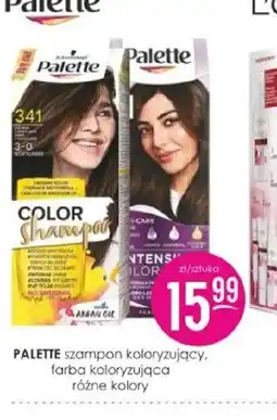 Jaśmin Palette oferta