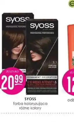 Jaśmin Farba koloryzująca Syoss oferta